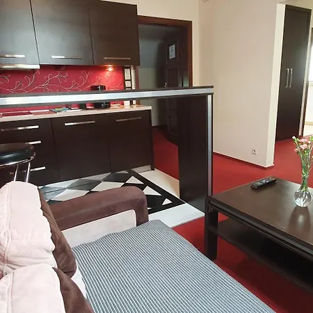 Euphoria * Sosnowiec